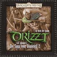 DRIZZT, Folge 2: Im Reich der Spinne