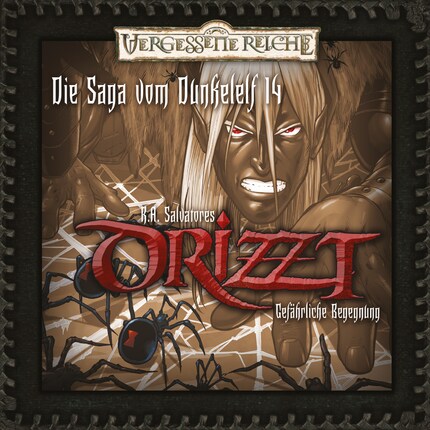 DRIZZT, Folge 14: Gefährliche Begegnung bookCoverFor