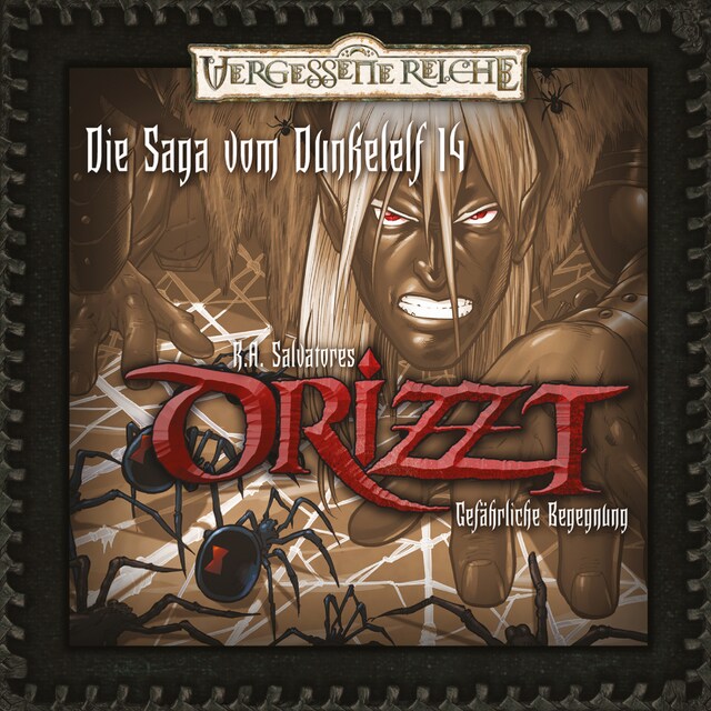 Book cover for DRIZZT, Folge 14: Gefährliche Begegnung