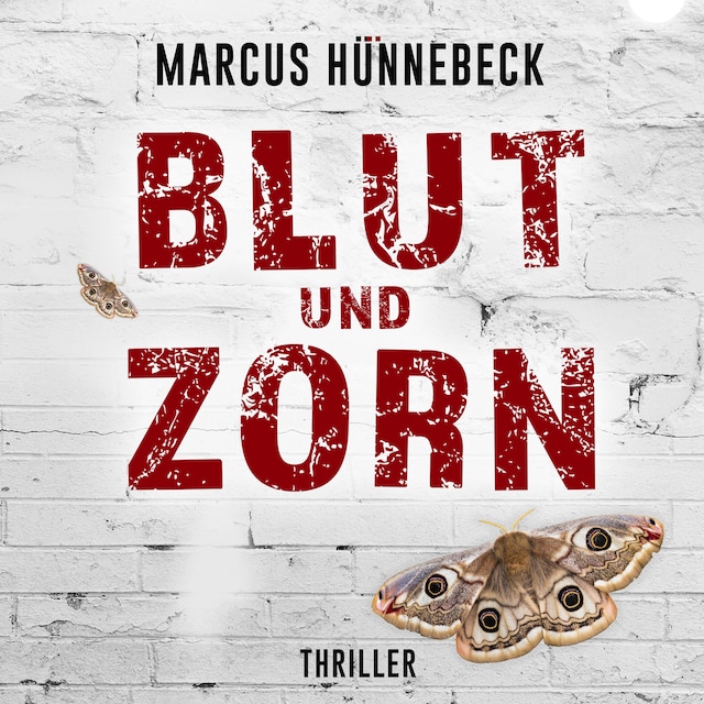 Book cover for Blut und Zorn - Drosten und Sommer, Band 3 (ungekürzt)