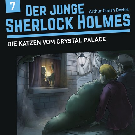 Der junge Sherlock Holmes, Folge 7: Die Katzen vom Crystal Palace bookCoverFor