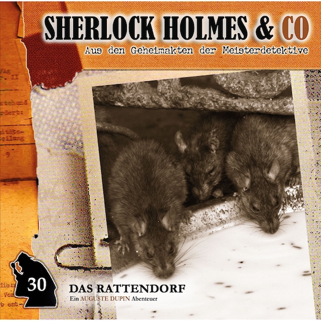 Book cover for Sherlock Holmes & Co, Folge 30: Das Rattendorf