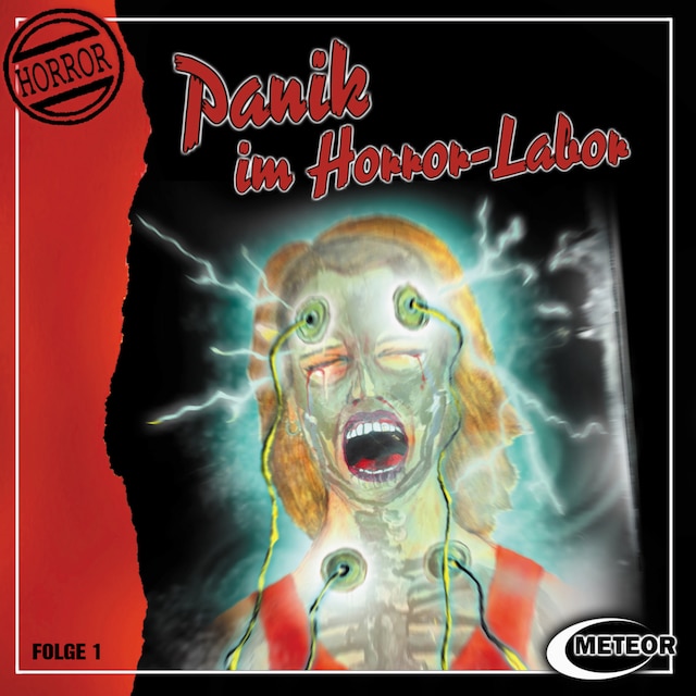 Boekomslag van Meteor Horror, Folge 1: Panik im Horror-Labor