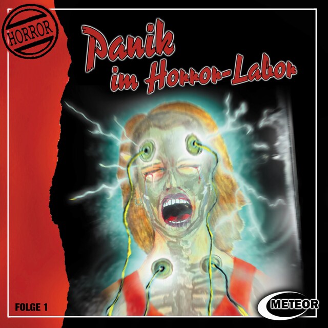 Portada de libro para Meteor Horror, Folge 1: Panik im Horror-Labor