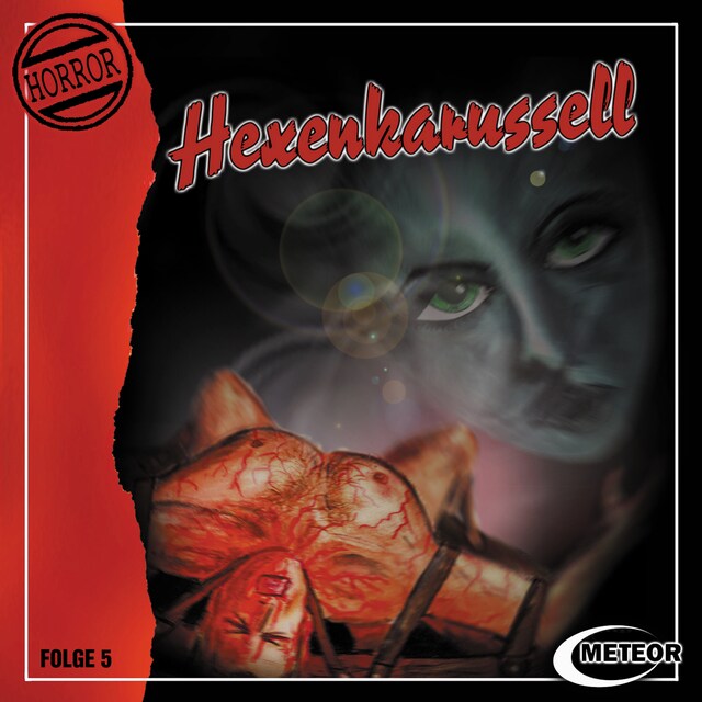 Book cover for Meteor Horror, Folge 5: Hexenkarussell