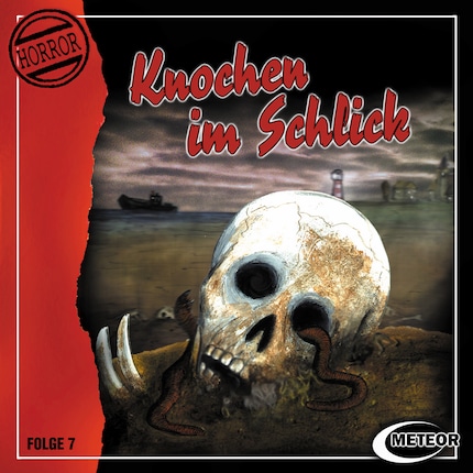 Meteor Horror, Folge 7: Knochen im Schlick bookCoverFor