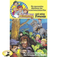 Tommy und seine Freunde, Folge 2: Der schwarze Hengst / Das Geheimnis um Bimbo