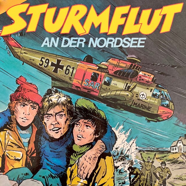 Book cover for Sturmflut an der Nordsee