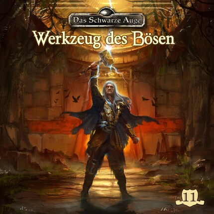 Das schwarze Auge, Folge 11: Werkzeug des Bösen bookCoverFor