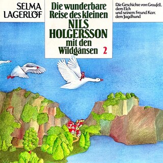 Nils Holgersson, Folge 2: Die wunderbare Reise des kleinen Nils Holgersson mit den Wildgänsen als Hörbuch