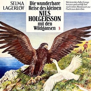 Nils Holgersson, Folge 3: Die wunderbare Reise des kleinen Nils Holgersson mit den Wildgänsen als Hörbuch