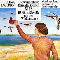 Nils Holgersson, Folge 4: Die wunderbare Reise des kleinen Nils Holgersson mit den Wildgänsen