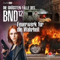 Die größten Fälle des BND, Folge 12: Feuerwerk für die Wahrheit