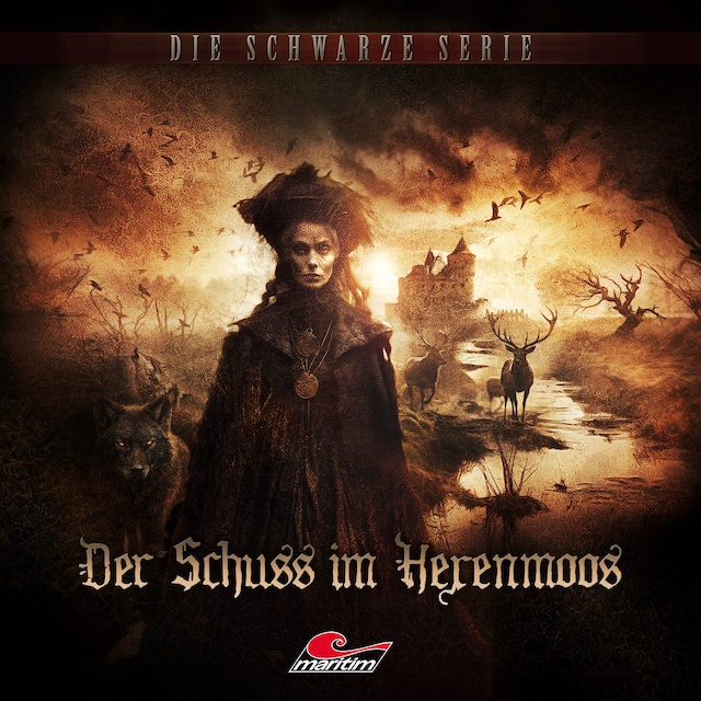 Book cover for Die schwarze Serie, Folge 27: Der Schuss im Hexenmoos