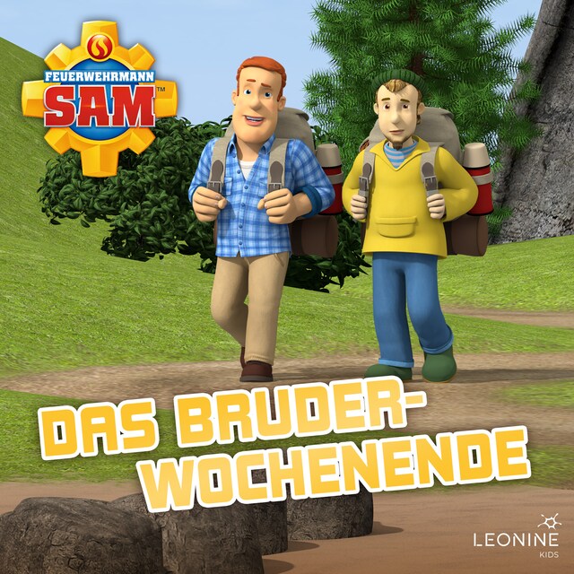Book cover for Folge 148: Das Bruderwochenende