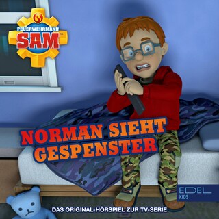 Folge 135: Norman sieht Gespenster (Das Original-Hörspiel zur TV-Serie) als Hörbuch