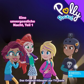 Folge 13: Eine unvergessliche Nacht - Teil 1 (Das Original-Hörspiel zur TV-Serie) als Hörbuch