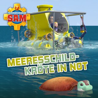 Feuerwehrmann Sam, 12, Folge 144: Meeresschildkröte in Not bookCoverFor