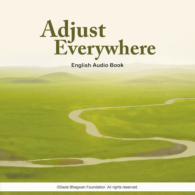 Adjust Everywhere - English Audio Book