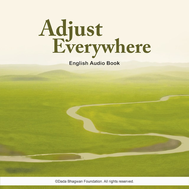 Bogomslag for Adjust Everywhere - English Audio Book