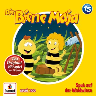 15/Spuk auf der Waldwiese als Hörbuch