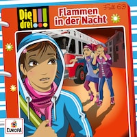 063/Flammen in der Nacht
