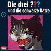 004/und die schwarze Katze