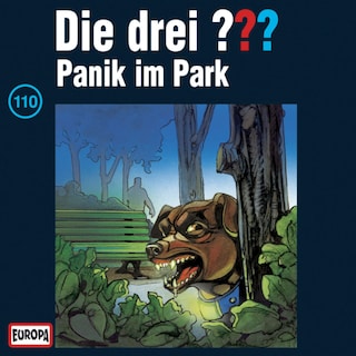 110/Panik im Park als Hörbuch