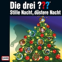 Adventskalender - Stille Nacht, düstere Nacht