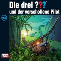 163/und der verschollene Pilot