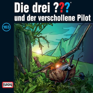 163/und der verschollene Pilot als Hörbuch