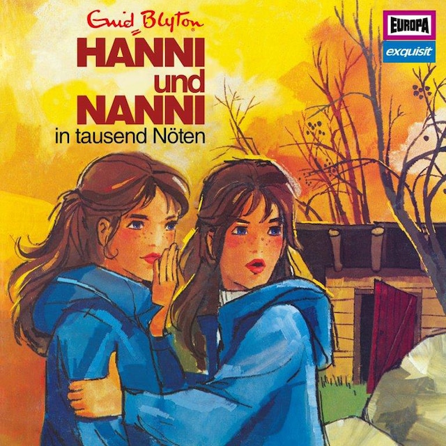 Buchcover für Klassiker 9 - 1976 Hanni und Nanni in tausend Nöten