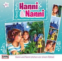 44/Hanni und Nanni stehen vor einem Rätsel