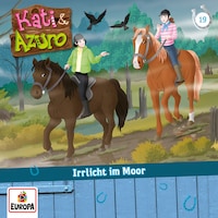 019/Irrlicht im Moor