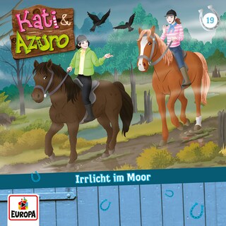 019/Irrlicht im Moor als Hörbuch