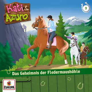 09/Das Geheimnis der Fledermaushöhle als Hörbuch