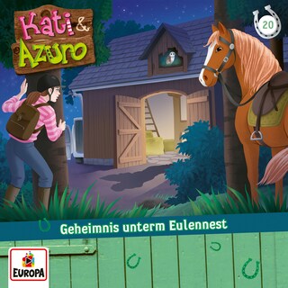 020/Geheimnis unterm Eulennest als Hörbuch