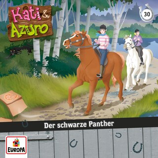 030/Der schwarze Panther als Hörbuch