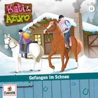 11/Gefangen im Schnee