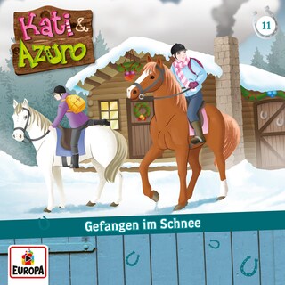 11/Gefangen im Schnee als Hörbuch