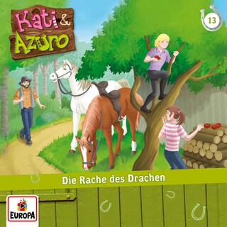13/Die Rache des Drachen als Hörbuch