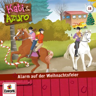 018/Alarm auf der Weihnachtsfeier als Hörbuch