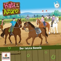 16/Der letzte Beweis