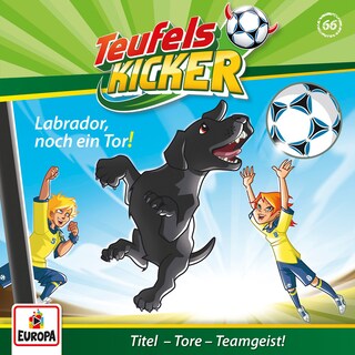 066/Labrador, noch ein Tor! als Hörbuch