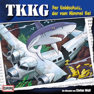 122/Der Goldschatz, der vom Himmel fiel als Hörbuch