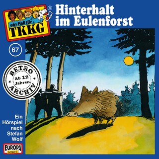 067/Hinterhalt im Eulenforst als Hörbuch