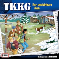 185/der unsichtbare Dieb