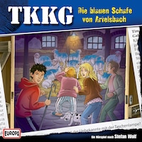 188/Die blauen Schafe von Artelsbach