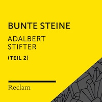 Stifter: Bunte Steine II (Reclam Hörbuch)