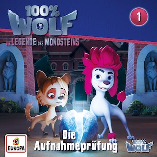 Folge 1: Die Aufnahmeprüfung als Hörbuch